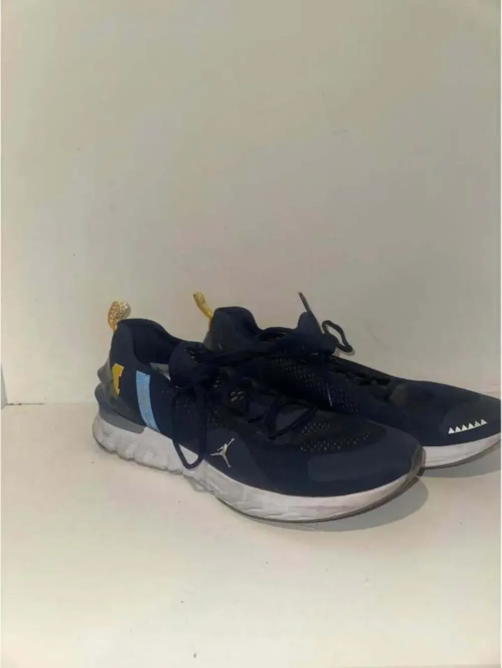 Team Issued Michigan Training Sneakers Size 12